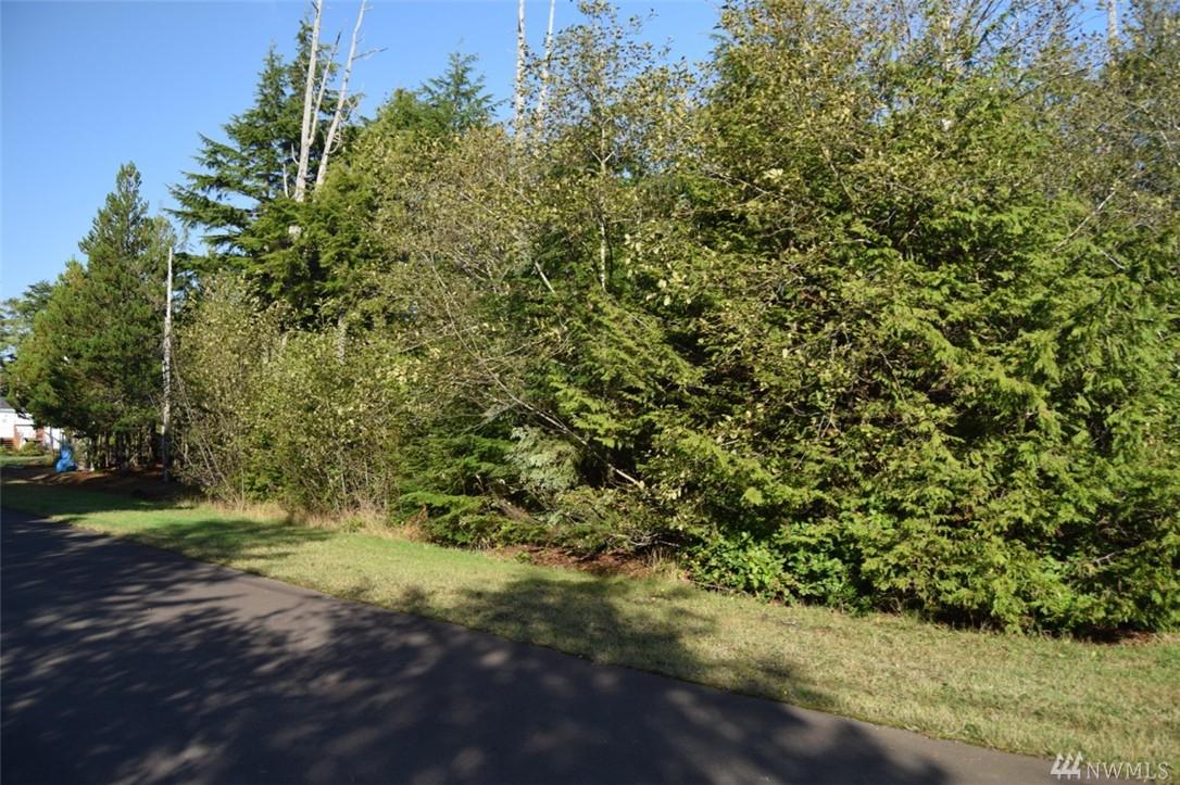 31 Butterfly Lane - Photo 1