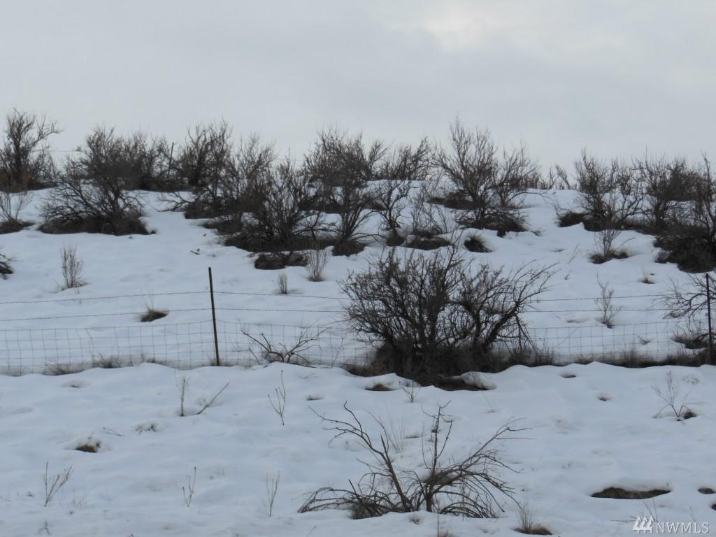 51 Sagebrush Trail Rd - Photo 1