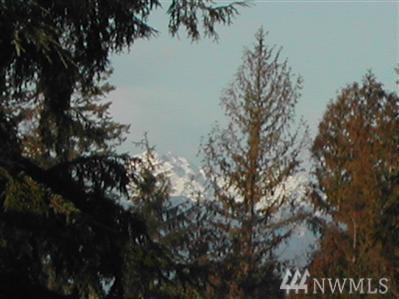 22721 Singingwood Place - Photo 1