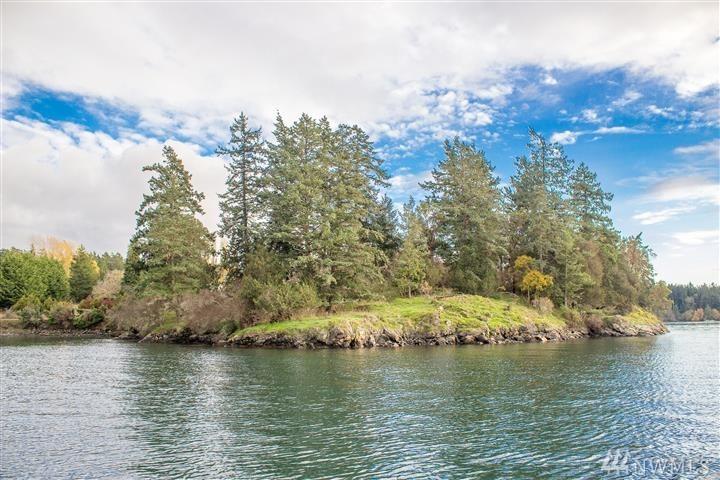 340 Blind Bay Rd - Photo 1