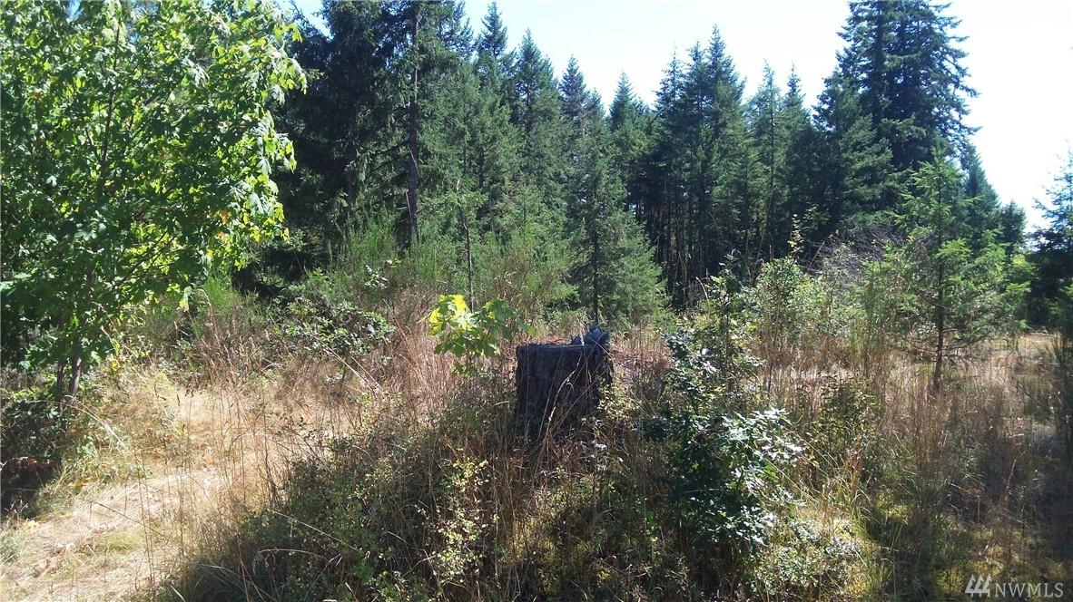 0 133rd Ave - Photo 1