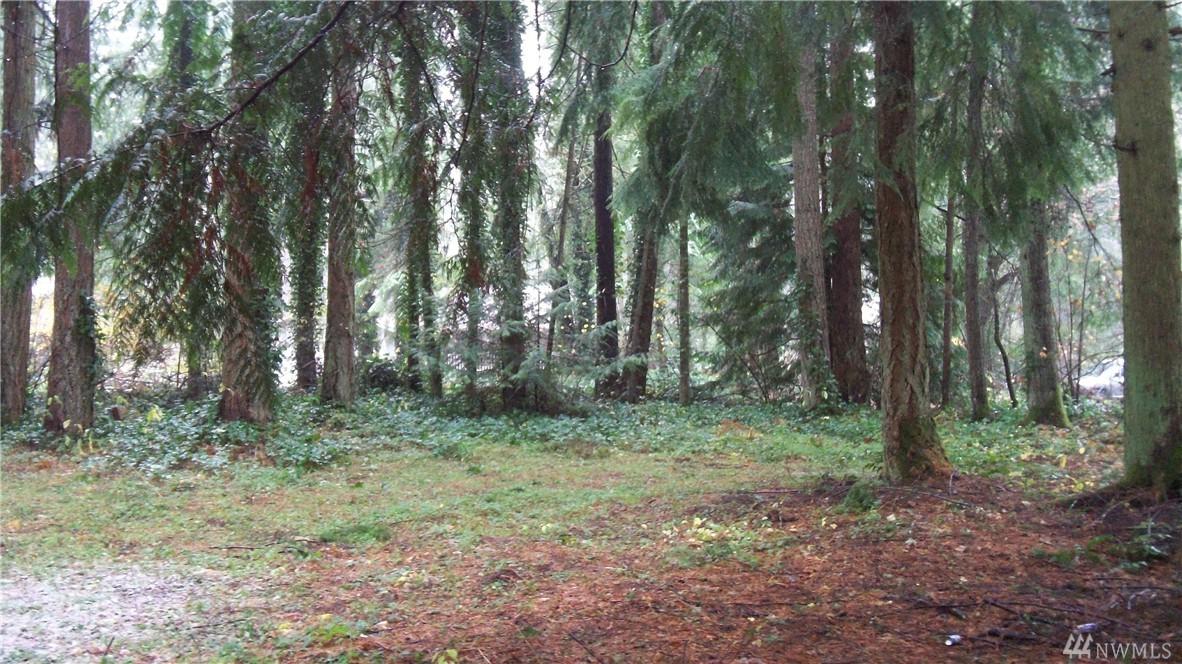 22003 Clear Lake Blvd - Photo 1