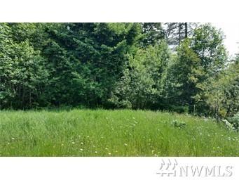 10-acres Larson Lane - Photo 1
