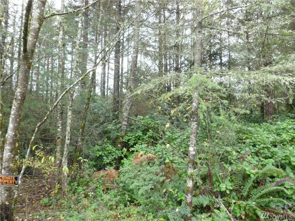 811 Coleman Ct - Photo 1