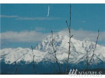 8840 Upper Peoh Point Rd - Photo 1
