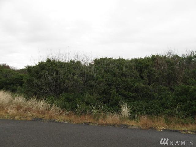 920 Cougar Place - Photo 1