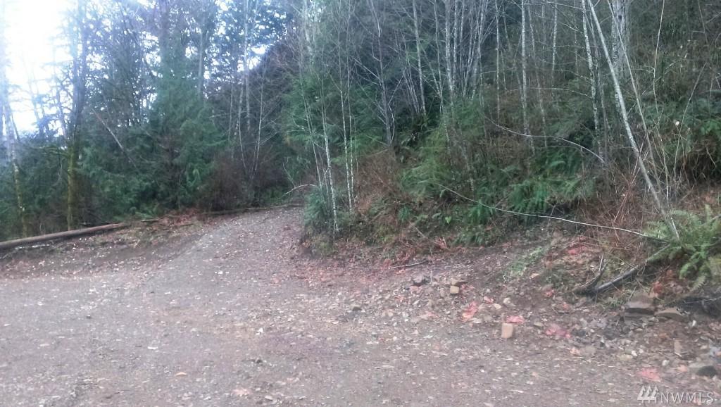 0-0 State Highway 508 - Photo 1