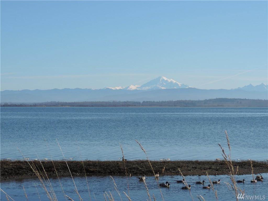 0 Saltspring Dr - Photo 1