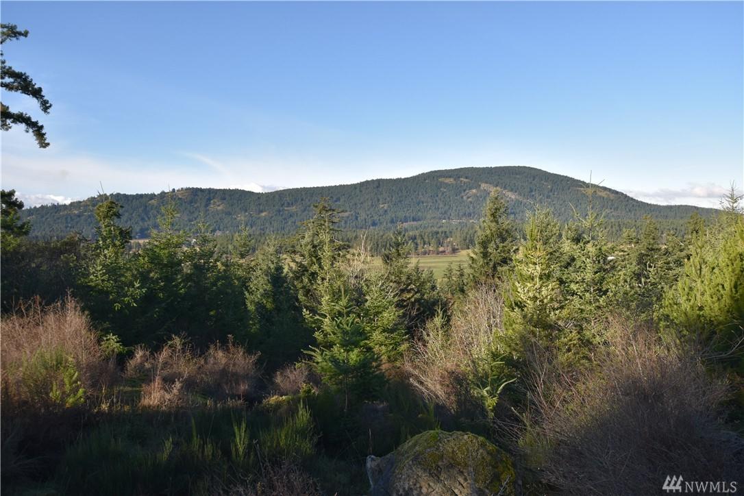 298 Mountain Crest Dr - Photo 1