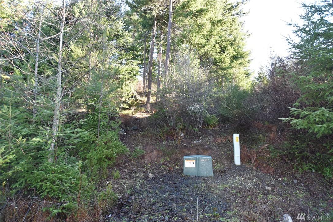 298 Mountain Crest Dr - Photo 1