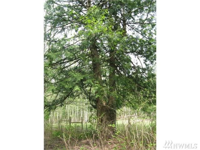 3024 Behme Rd - Photo 1