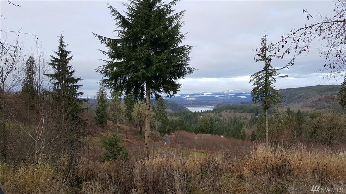 115 Sugar Pine Place - Photo 1