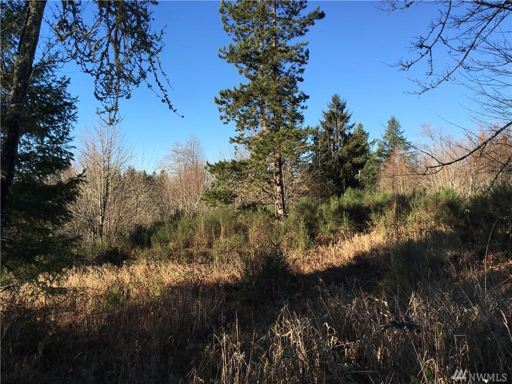 14019 Old Highway 99 Hwy - Photo 1