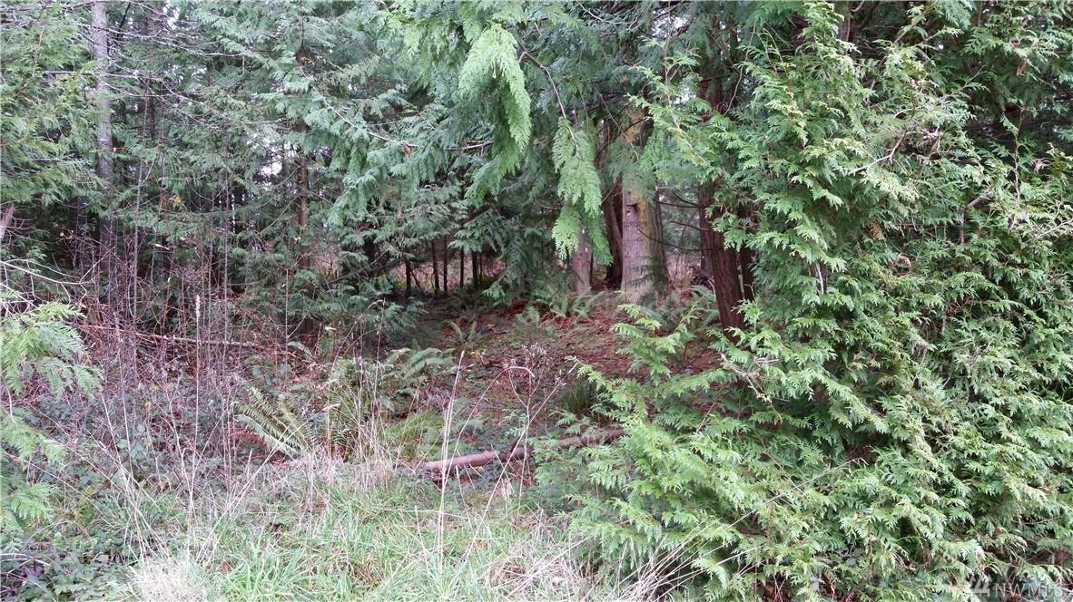 0 Oak Ridge Dr - Photo 1