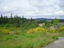 3 Pottery Ave - Photo 1