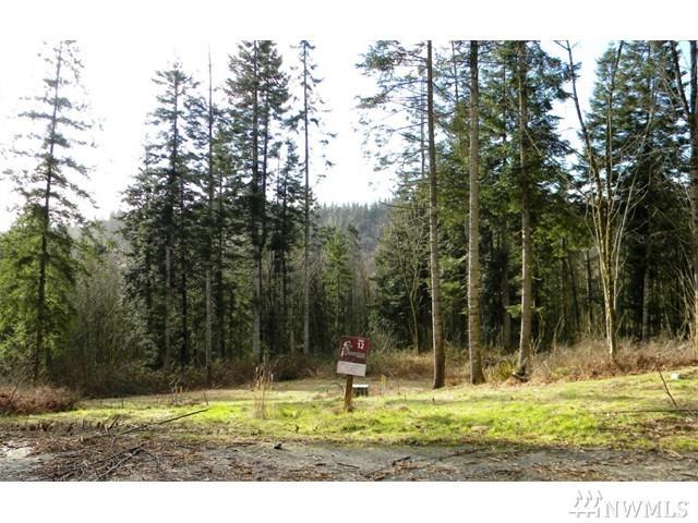 0-Lot 12 Methow Ct - Photo 1