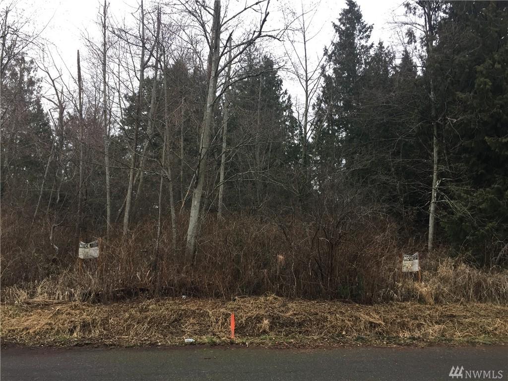 0 172nd St - Photo 1