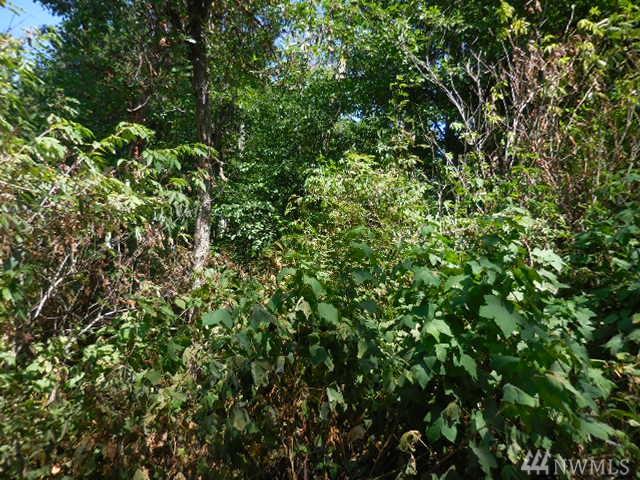 103-B Whidbey Island Dr - Photo 1