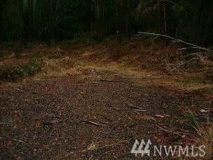 136 Sunset View Rd - Photo 1
