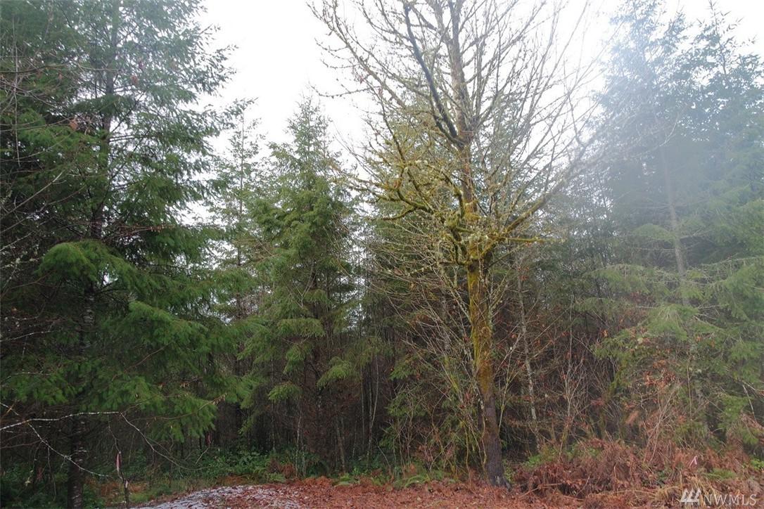 132 Steveson Rd - Photo 1