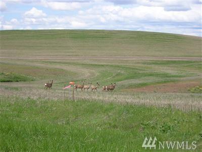 28401 Bachelor-Prairie Rd - Photo 1