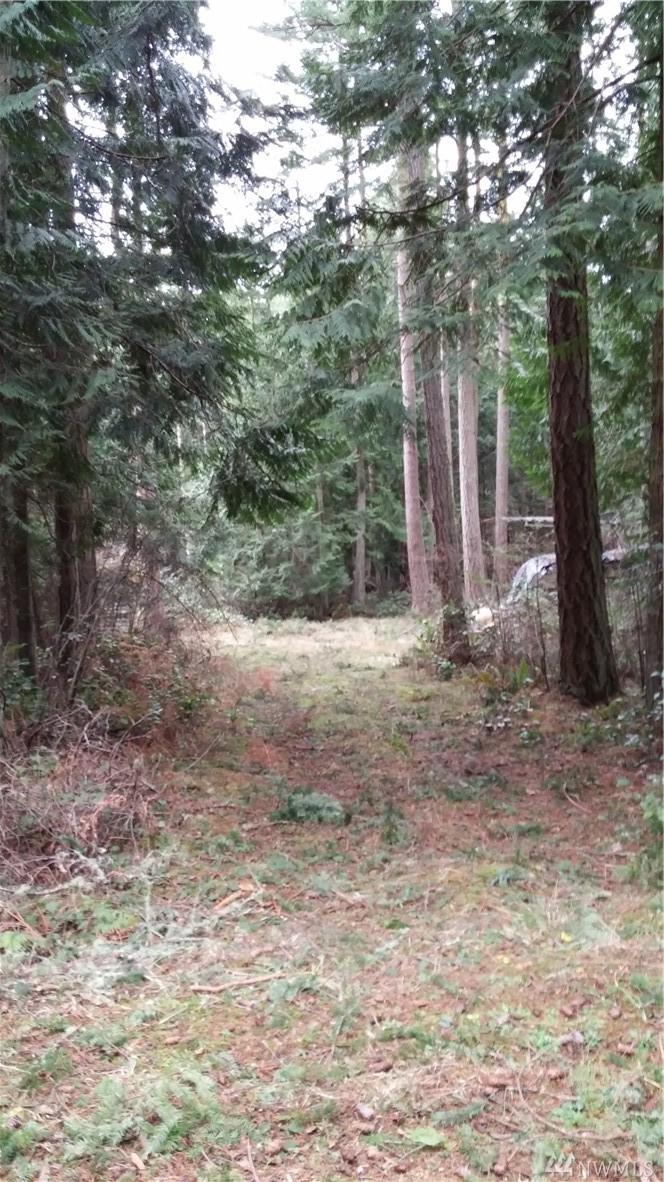 0-XXX Pavey Blvd - Photo 1
