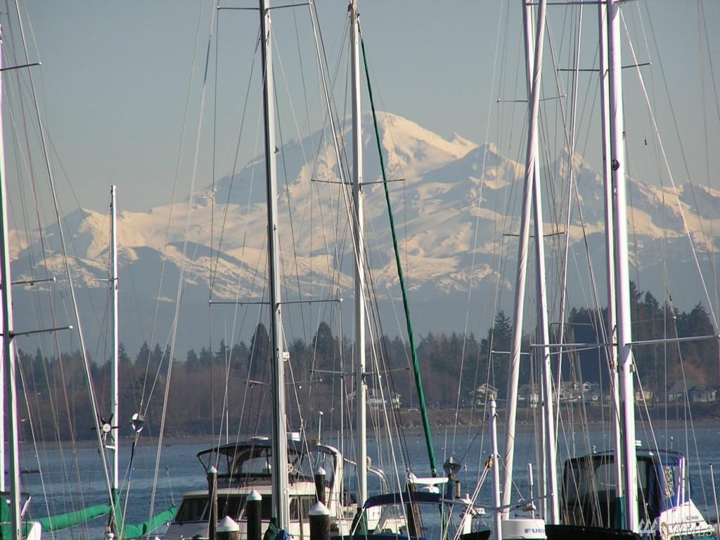 9540 Semiahmoo Pkwy - Photo 1