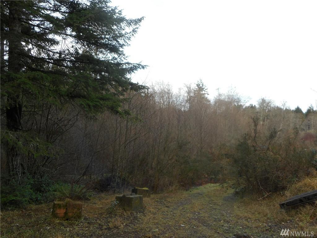 12560 Westbrook Dr - Photo 1