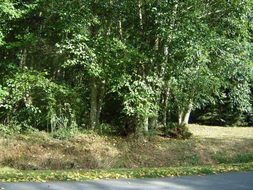0-xxx Seacrest Lane - Photo 1