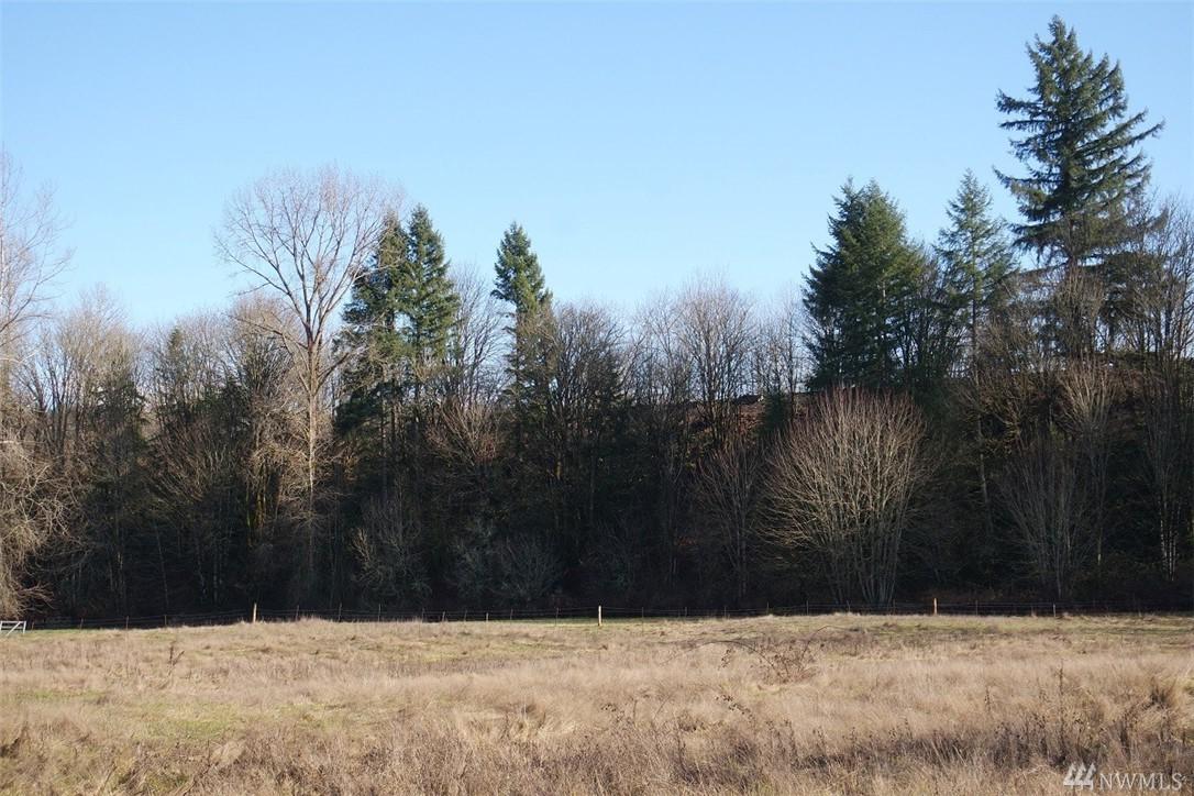 909 Nisqually Park Dr - Photo 1