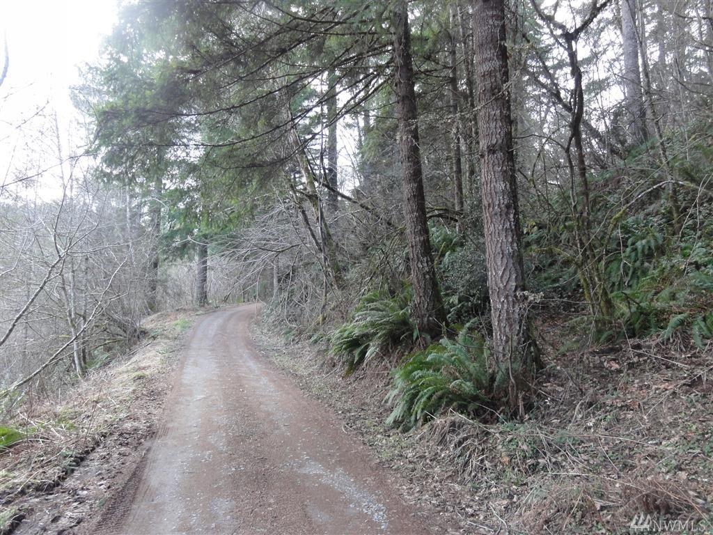 0-0 Judd Rd - Photo 1