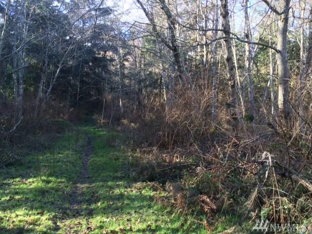 0-Lot 23 Mastodon Dr - Photo 1
