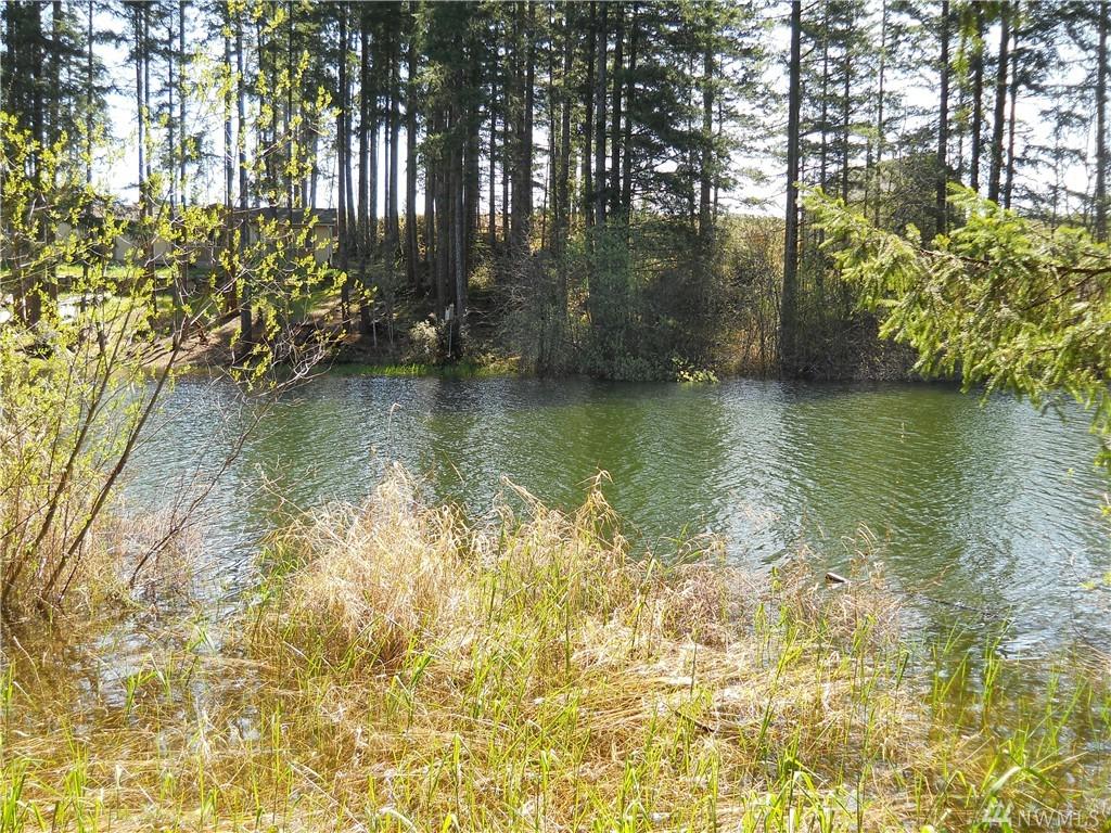 323 Emerald Lake Dr - Photo 1