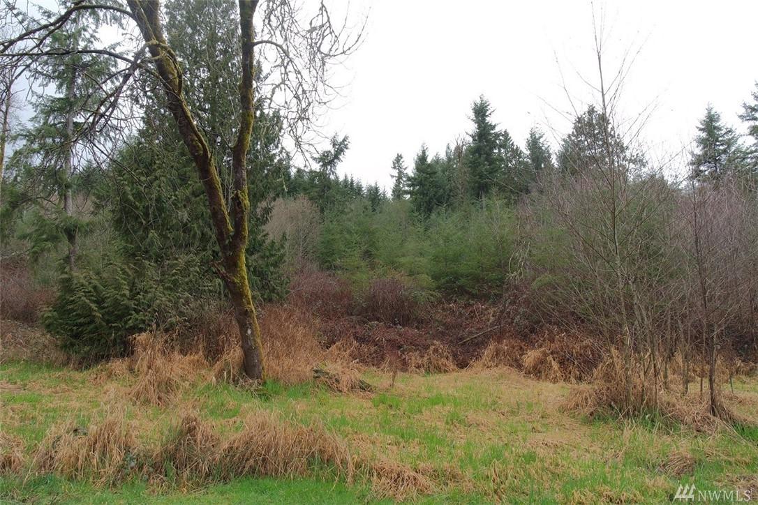 158 Salzer Rd - Photo 1