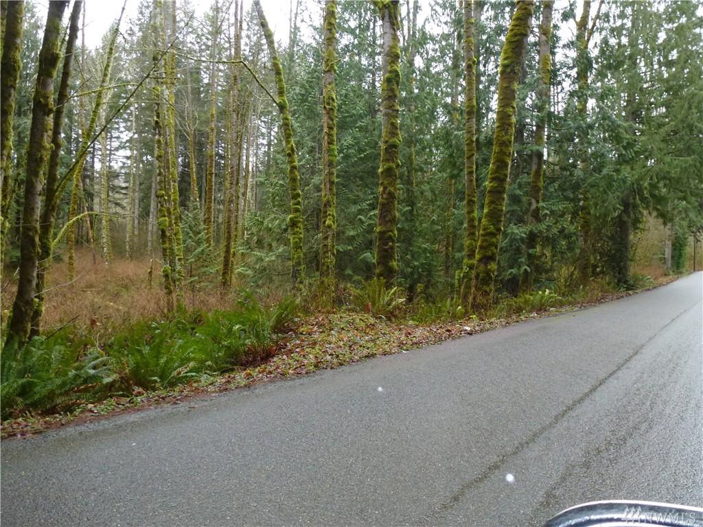 227-XX Scotty Rd. - Photo 1