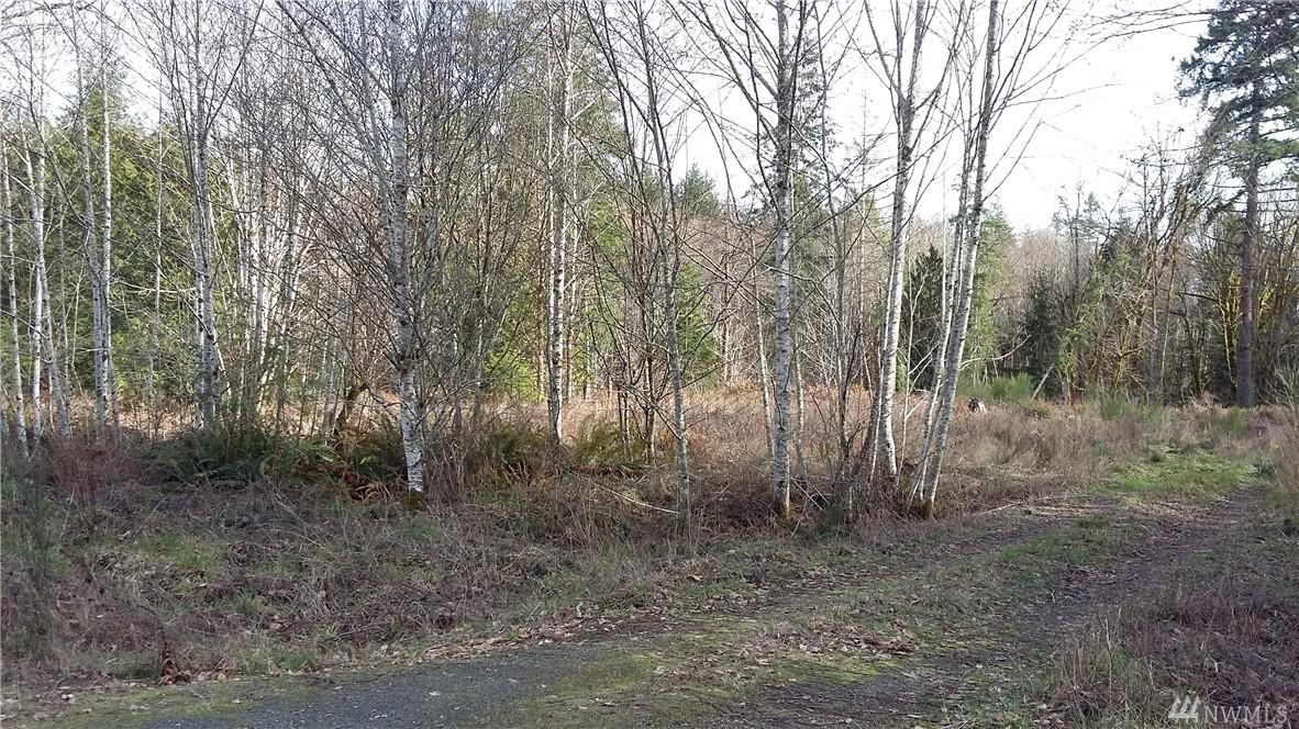 0-Lot 3 Lynch Rd - Photo 1