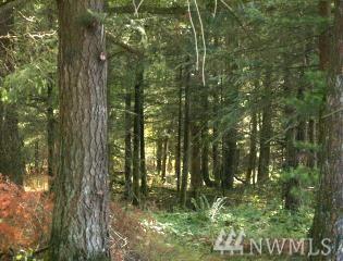 5949 Ivan St - Photo 1