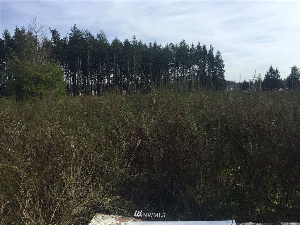 6320 197th Avenue - Photo 1