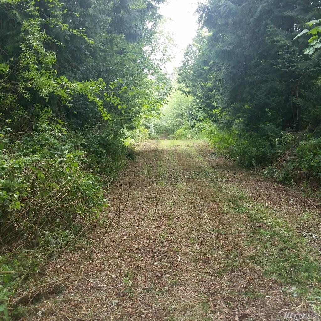 0-XXX Maple Rd - Photo 1