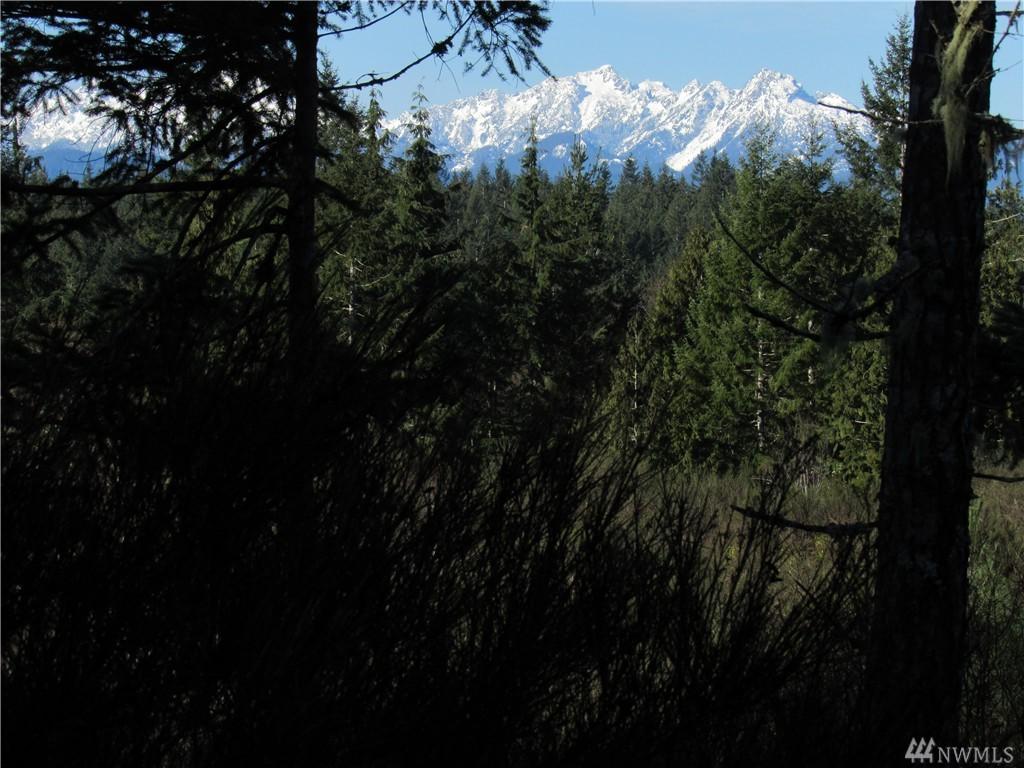 9 .62 Acres Lot 1 Wayne Rd - Photo 1