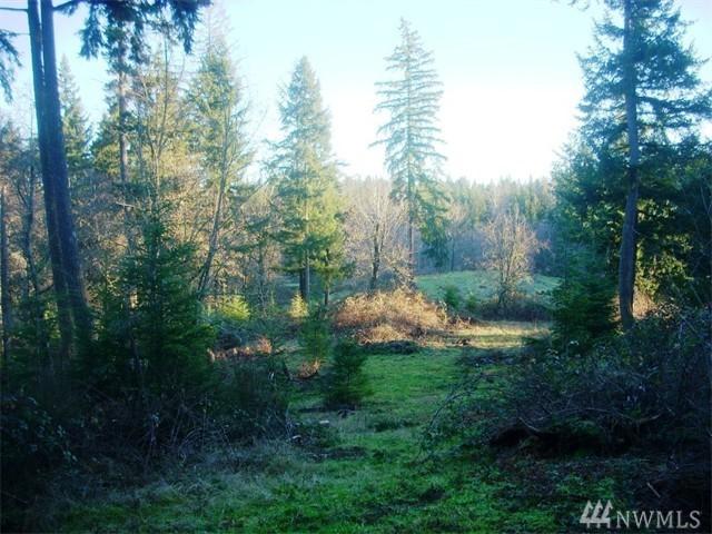 18400 330th St - Photo 1
