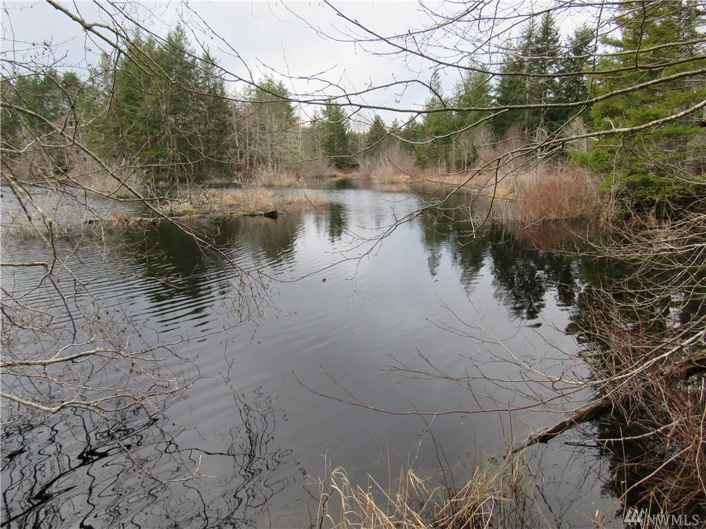 9 .63 Acres Lot 4 Wayne Rd - Photo 1
