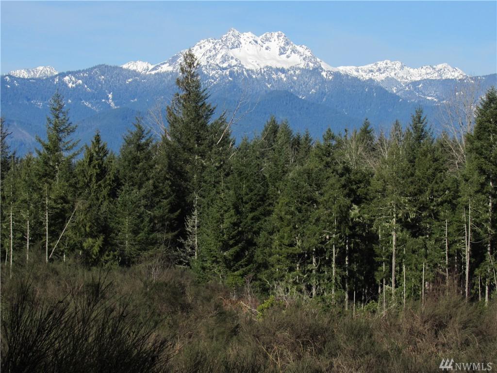 9 .62 Acres Lot 5 Wayne Rd - Photo 1