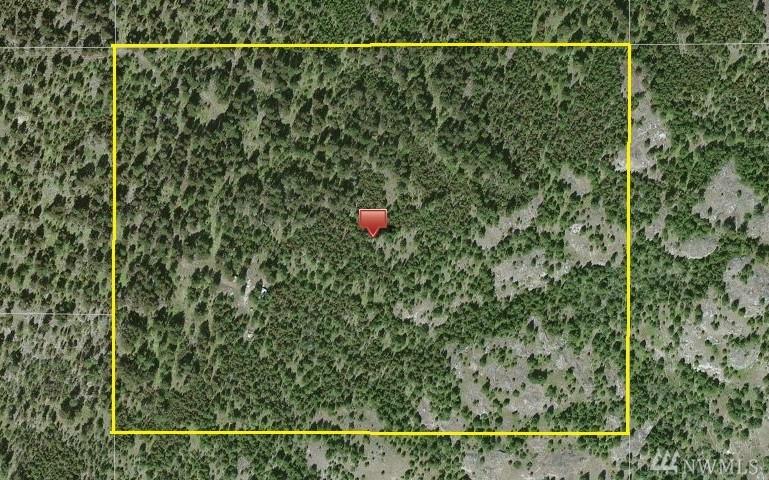 23 Big Dog Rd - Photo 1