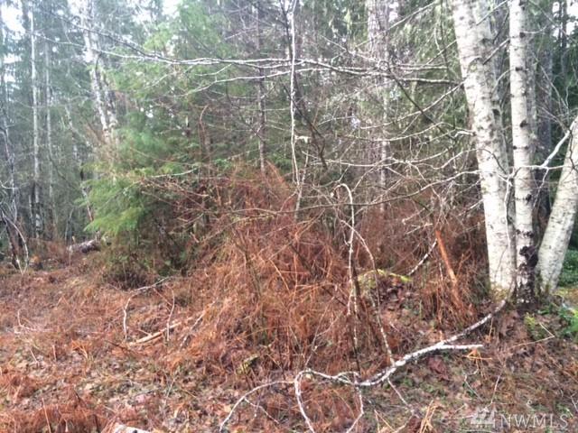 131 Deer Lane - Photo 1