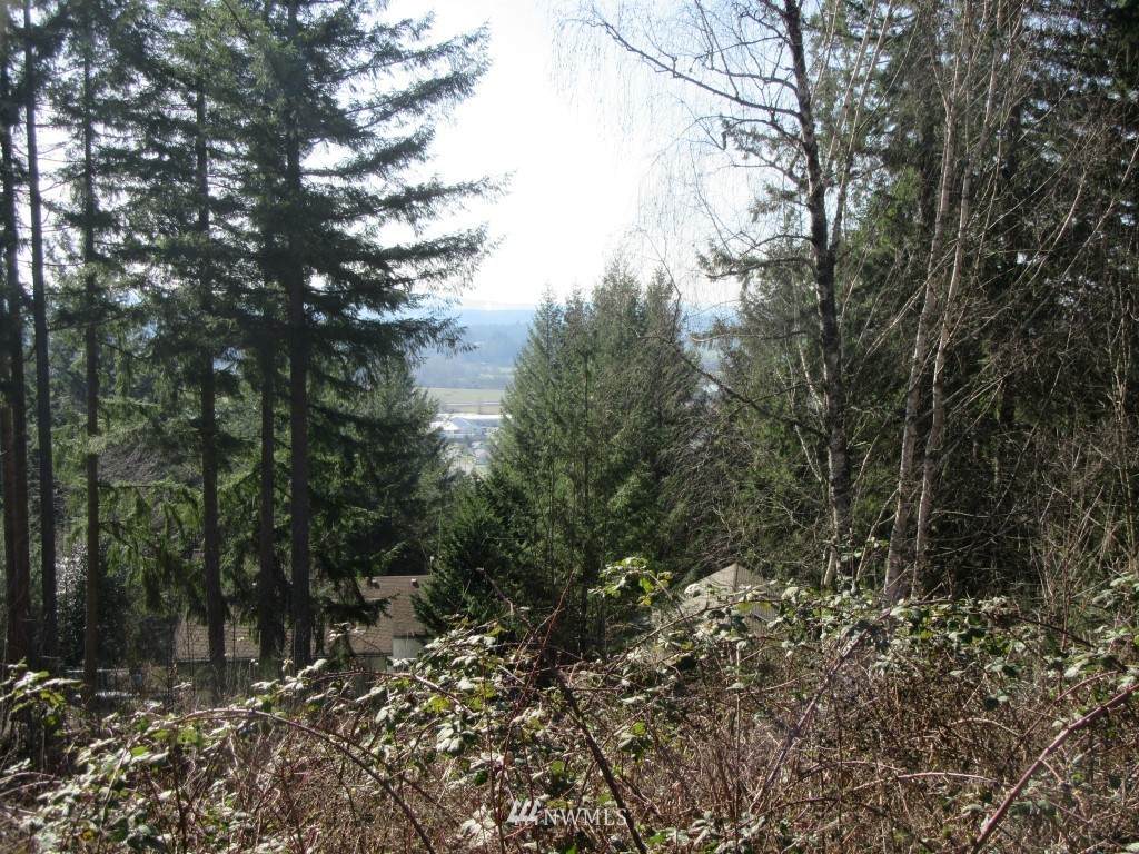 0 Summit Road - Photo 1