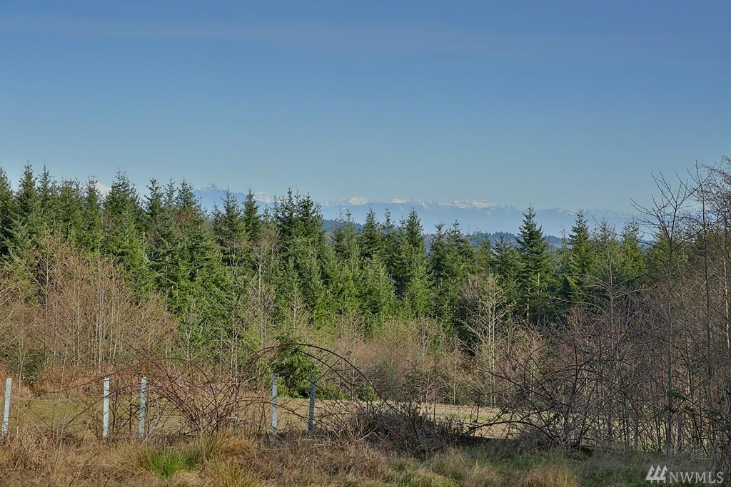0-Lot 5 Red Oak Lane - Photo 1