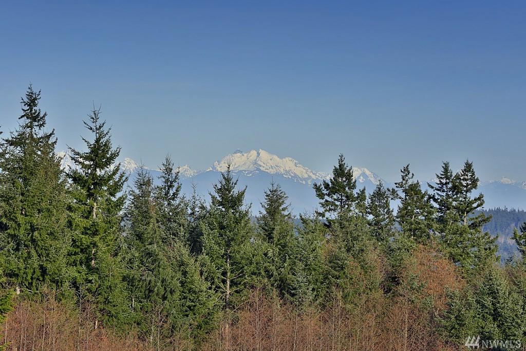 0-Lot 3 Stonecrop Dr - Photo 1