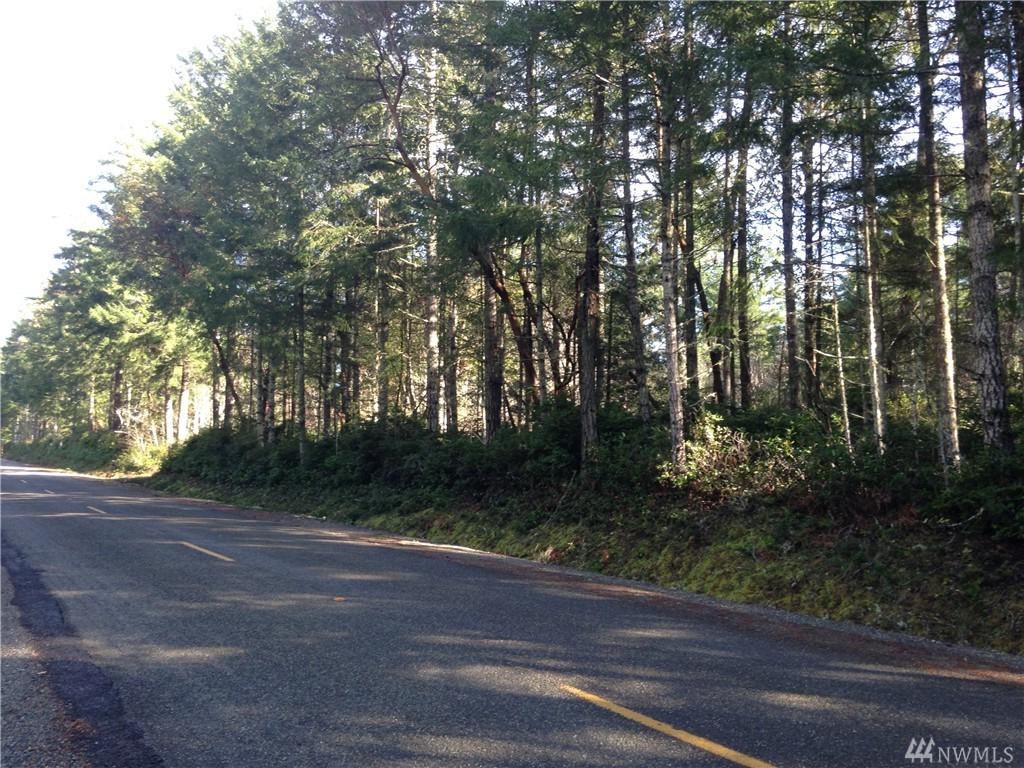 0 Tiedmnan Rd - Photo 1