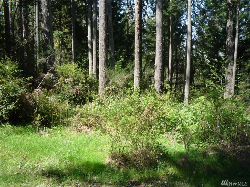 12103 Wapato Rd - Photo 1